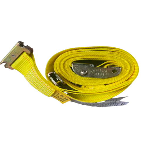 2" X 12' E-Logistic Cam Strap