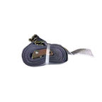 2" X 16' E-Logistic Cam Strap